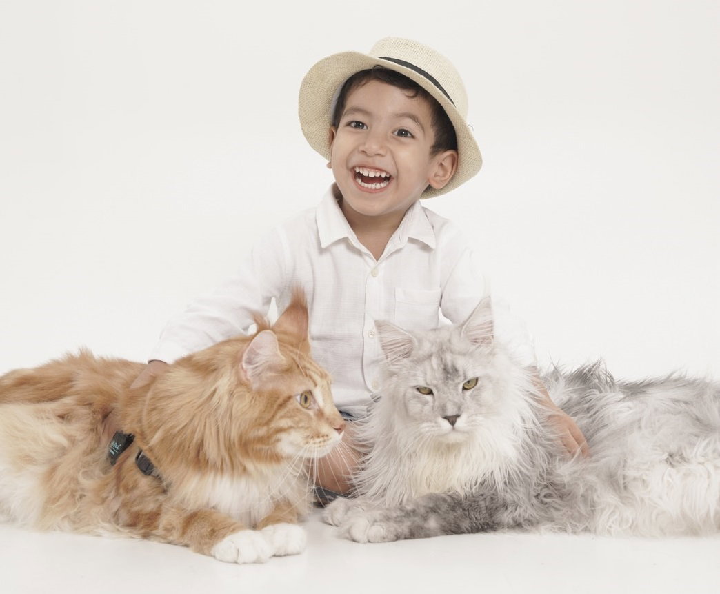 Happy family with Maine Coon cats —  TigerCoonCat Cattery Nonthaburi Thailand