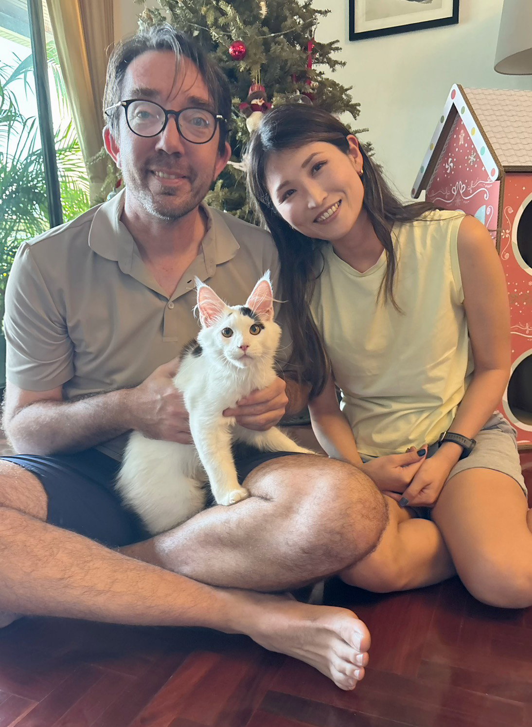 Expat family with Maine Coon kitten  in Bangkok Thailand — TigerCoonCat
