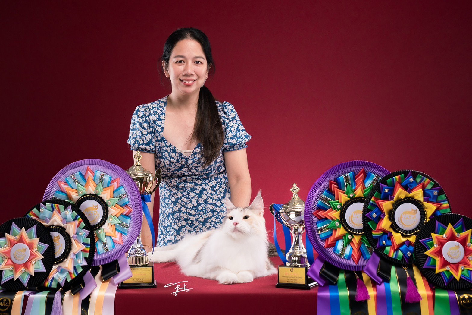 TigerCoonCat Maine Coon breeder Thailand  with champion awards and trophies —  trusted cattery Nonthaburi Bangkok