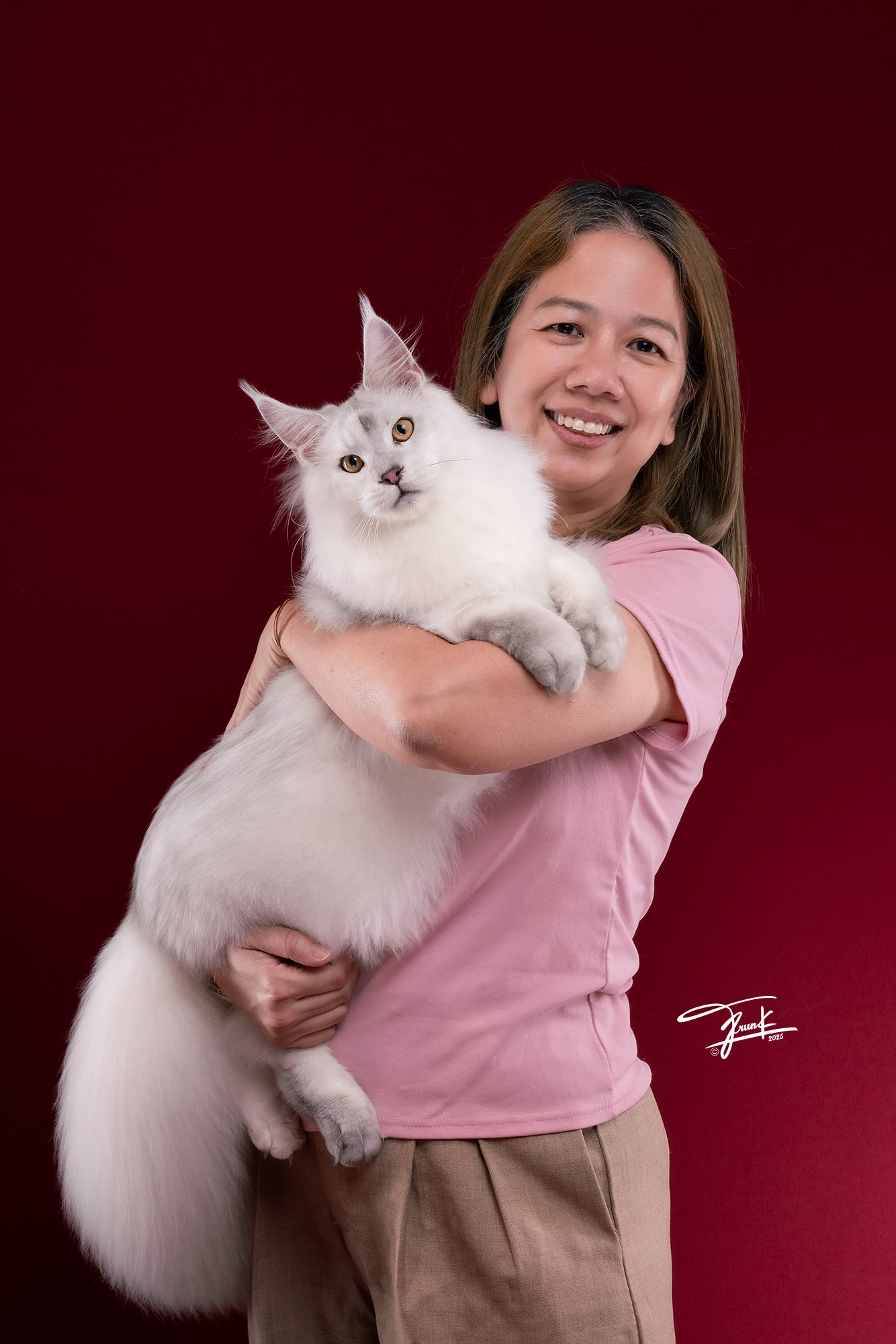 เจ้าของอุ้มเมนคูน Blue Silver Shell แสดงความผูกพันและขนาดตัวจริง — TigerCoonCat