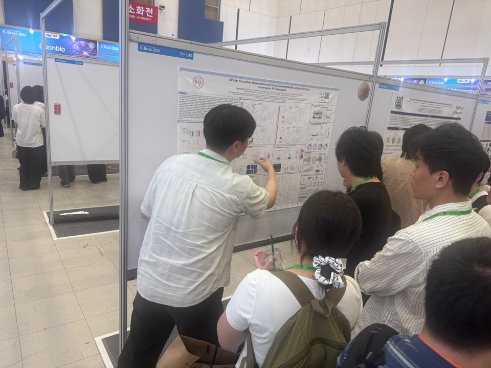 Hyunjin's poster at K-Brain 2026