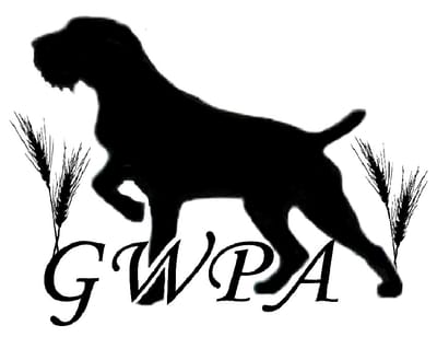 German Wirehaired Pointer Asssociation