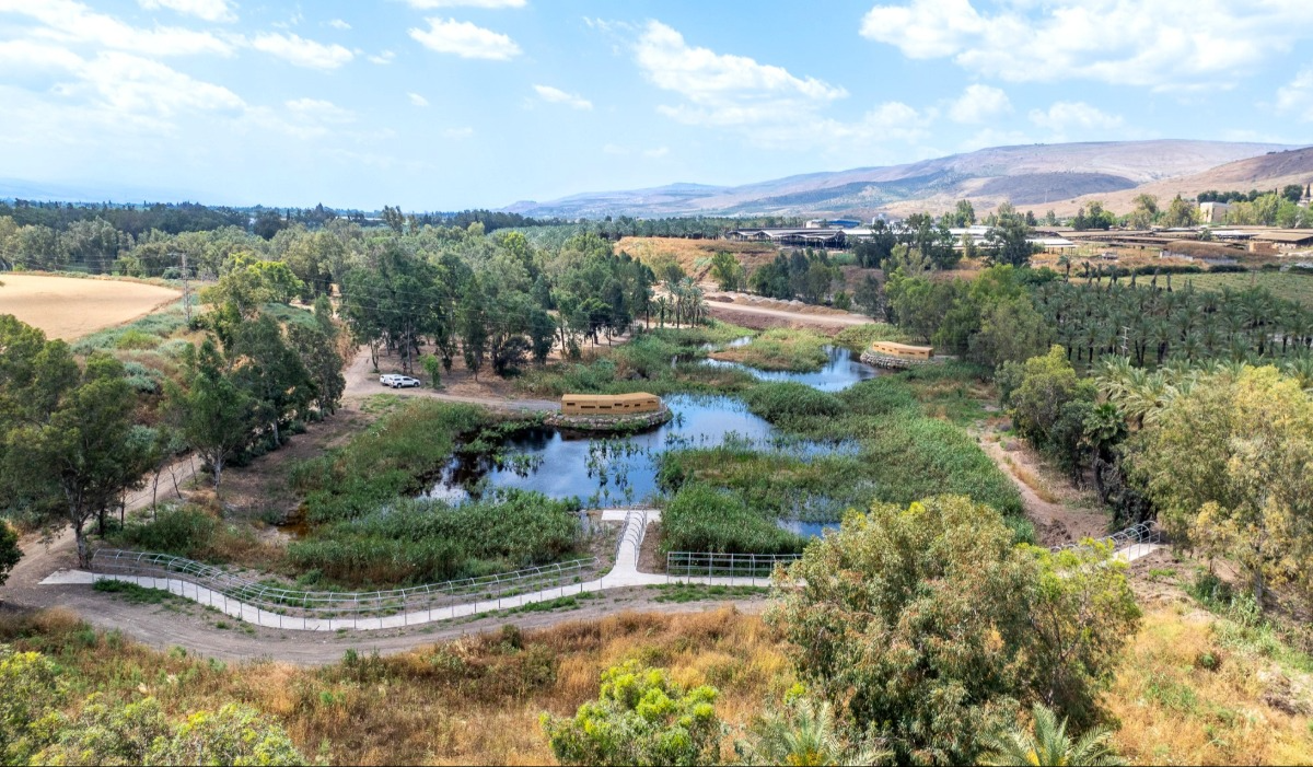 "חורשת האקליפטוס" 