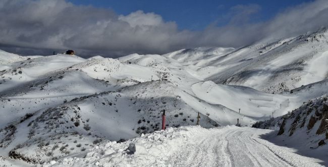 NETO חדשות :לראשונה מתחילת המלחמה: צה"ל בהחלטה משמחת