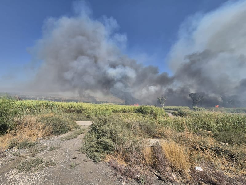 NETO חדשות : סכנה למתרחצים בחוף אמנון בכנרת עקב שריפת ענק שמשתוללת