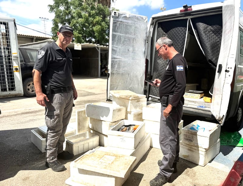 ערי הצפון :עפולה: השירות הווטרינרי העירוני מנעו הפצת 120 ק"ג מוצרי מזון המסוכנים לבריאות הציבור