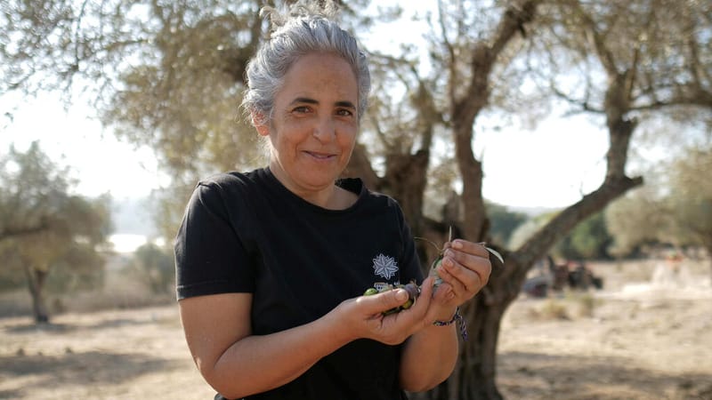 חדשות NETO :שדרות ארלוזורוב בעפולה נבחר לאחד מהרחובות היפים ביותר בישראל