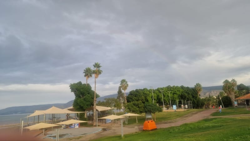 חדשות NETO:למרות הגשם הכבד: הבשורה העצובה על מפלס הכנרת