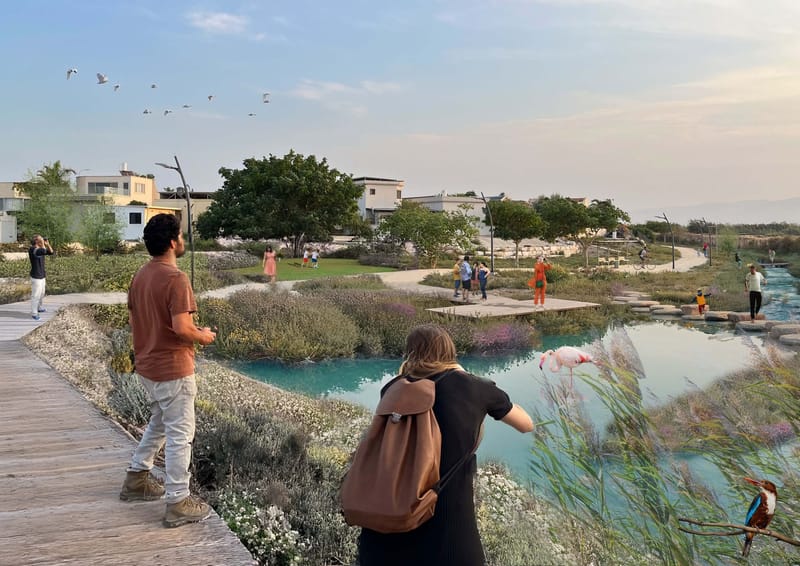 חדשות NETO:החייאת ערוץ נחל הקיבוצים הישן והשבת מים לטבע ולעיר בית שאן