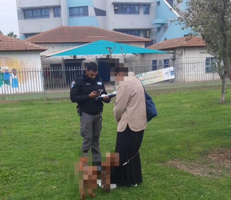 ערי הצפון :די למוקשים: אגף הפיקוח בעפולה יגביר את האכיפה נגד תופעת אי איסוף גללי צואת כלבים