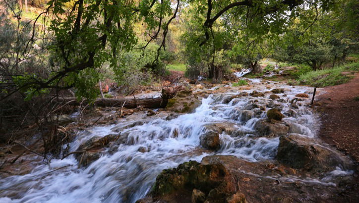 NETO חדשות :לא בגלל המלחמה: אתרי טבע בצפון נסגרו מיידית