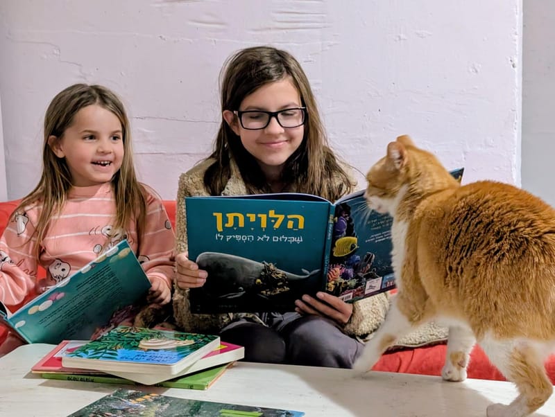 ערי הצפון :עפולה: ספרייה עד המקלט: יוזמה חדשה בעפולה מביאה את הספרים עד למרחבים המוגנים