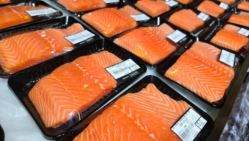 NETO חדשות :רגע לפני פסח: ריקול מיידי לדגי הסלמון האהובים משרד הבריאות מזהיר