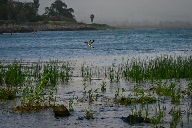 NETO חדשות :מהפך במזג האוויר: גשם בצפון וצניחה בטמפרטורות | התחזית המלאה