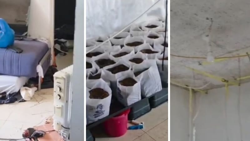 פלילים NETO :המשטרה פתחה בחקירה: שכרו דירה בטבריה - והפכו אותה למעבדת סמים