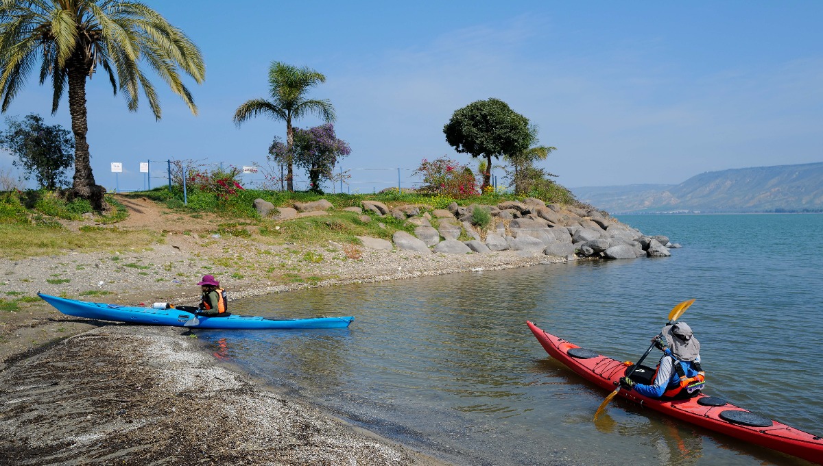 חדשות NETO :קטסטרופה בכנרת: נשקלות פעולות דרסטיות להצלת האגם הלאומי