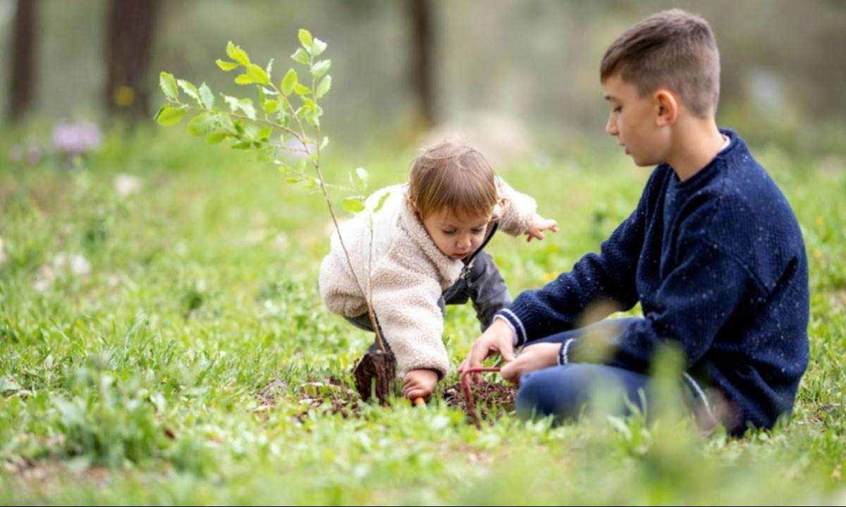 אירועי נטיעות