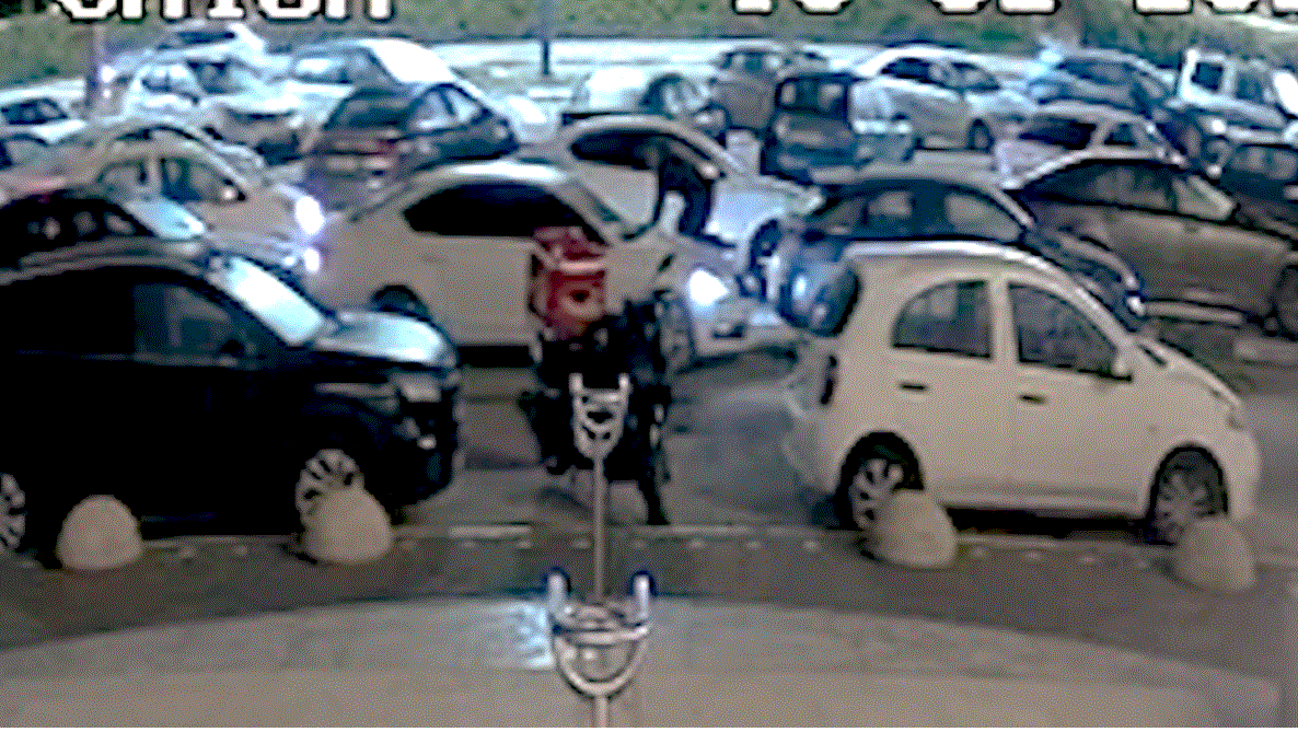 פלילים NETO :הבעל המשיך בנסיעה כאשר אשתו על מכסה המנוע
