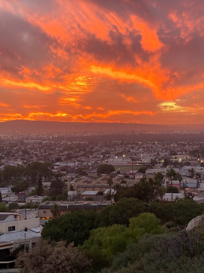 LA - Long Beach Q2 2024 Industrial Market Report