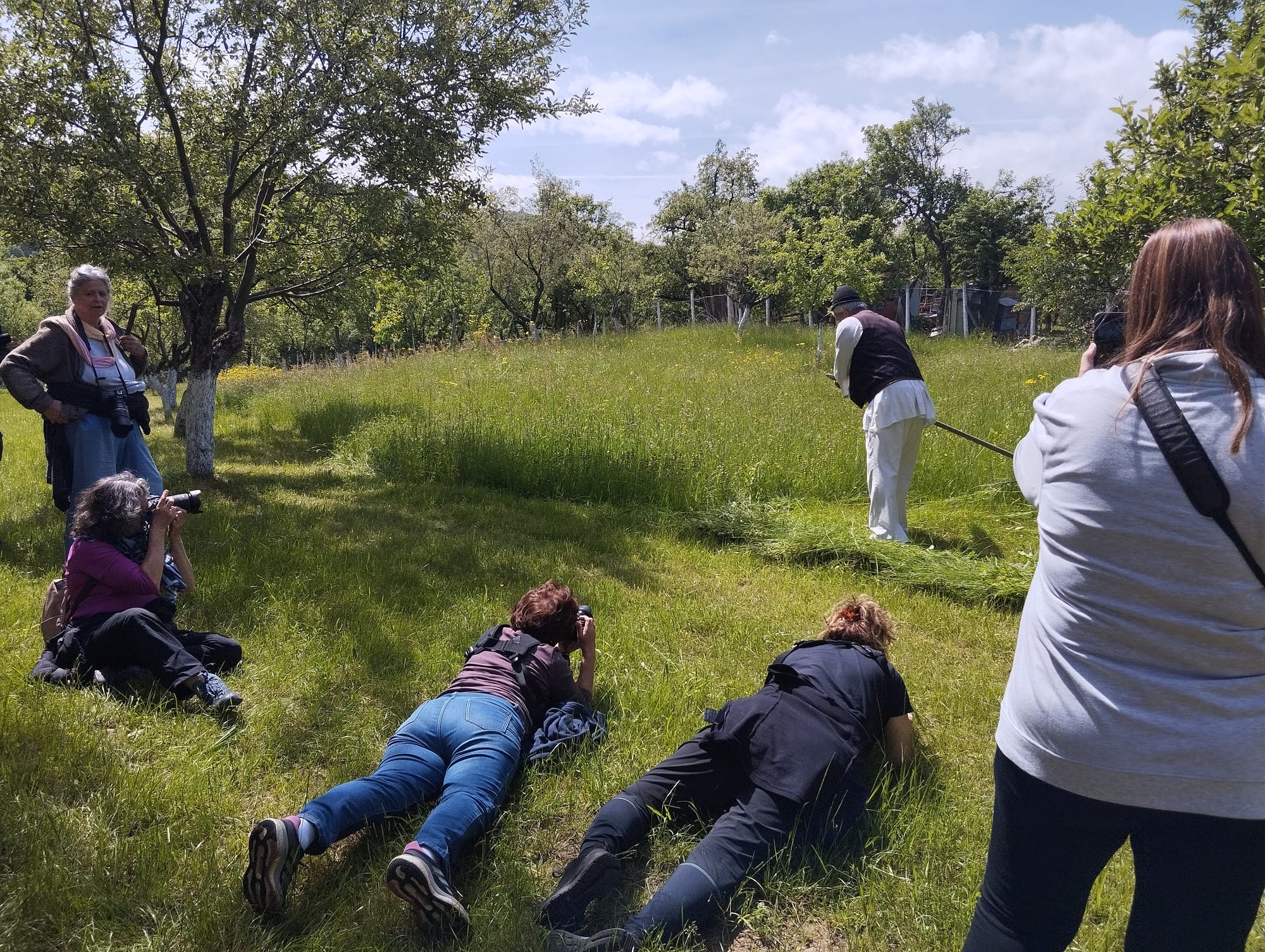 A group of photographers captures a person in traditional attire scything grass in a sunny orchard. A sense of focus and appreciation for rural life fills the scene.