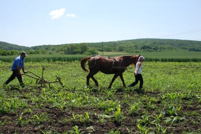 Discover Romania: A Hidden Gem of Europe’s Tourism Scene