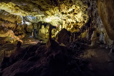 10 Reasons Why You Should Experience a Private Tour of Transylvania