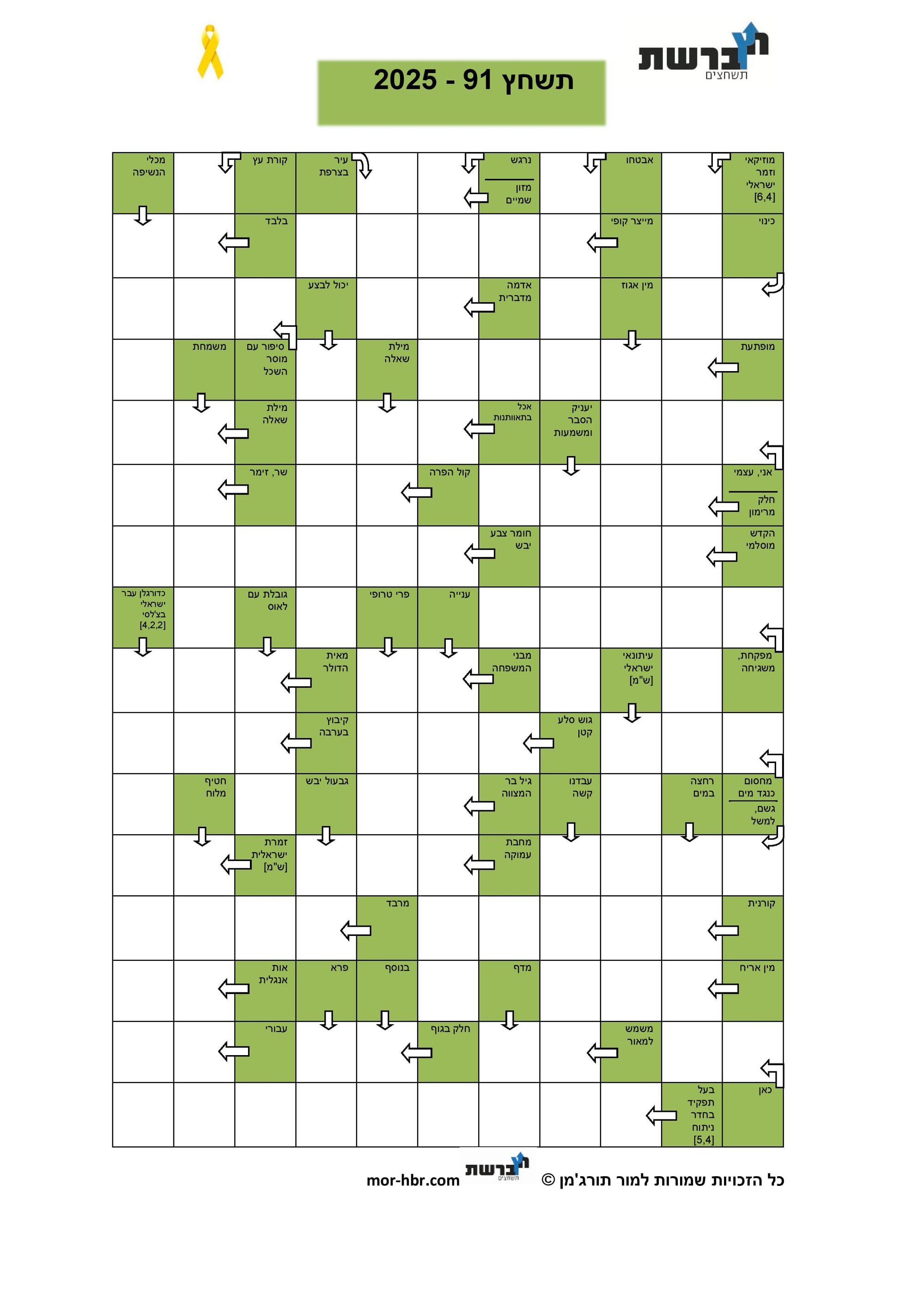תשחץ 91 - 2025