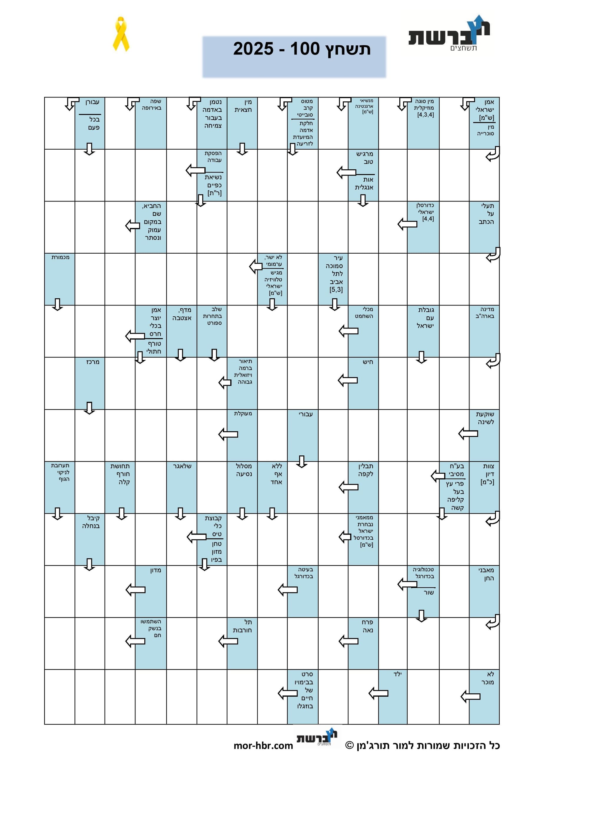 תשחץ 100 - 2025