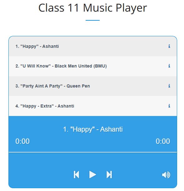 Class 11 Music Player