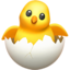 🐣