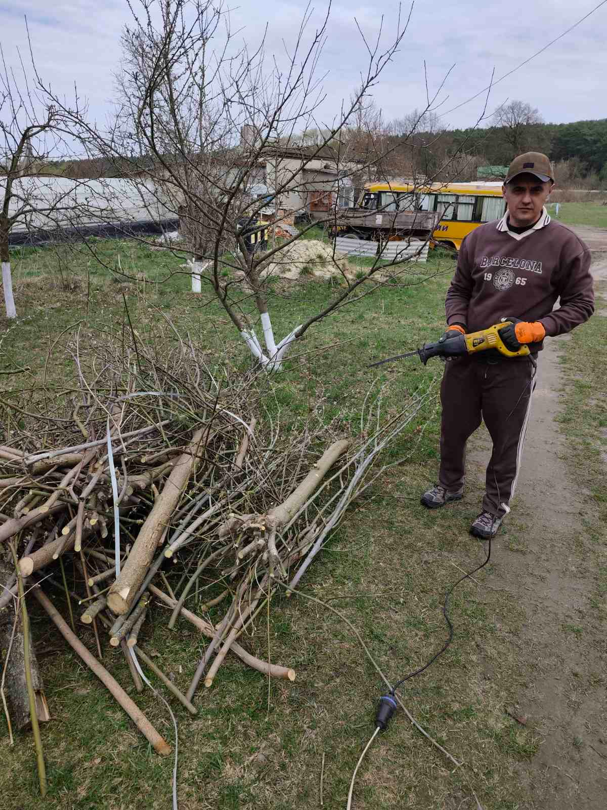 На зображенні може бути: кісткове плодове дерево