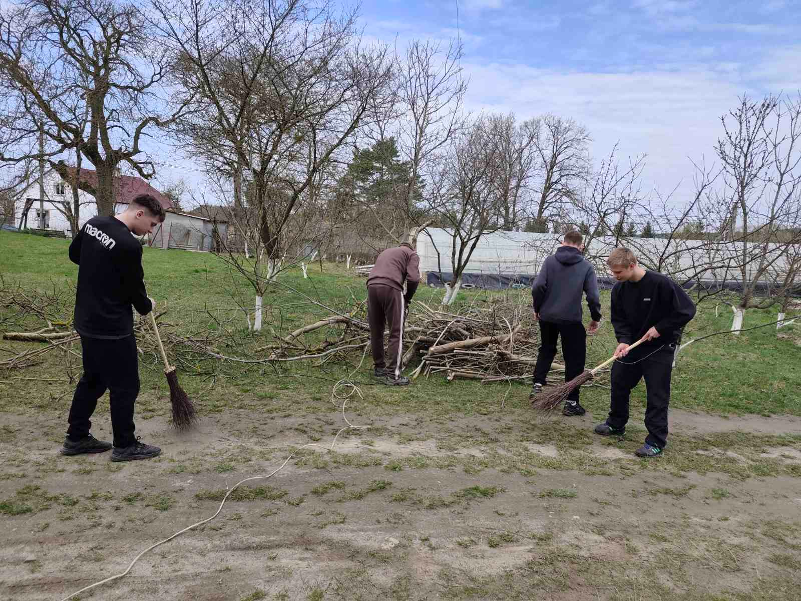 На зображенні може бути: трава та дерево