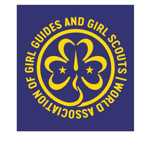 WAGGGS World Board Evaluation Dec 2024