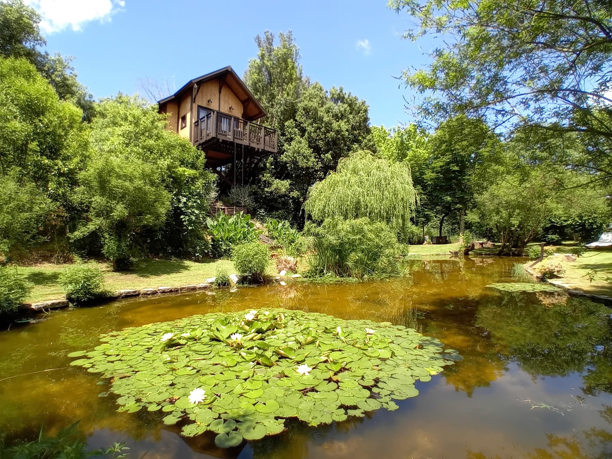 Casa sull'Albero Awen Tree House in Umbria