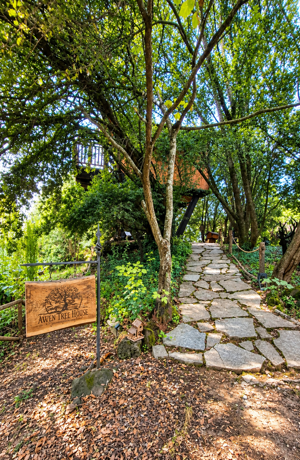Casa sull'Albero Awen