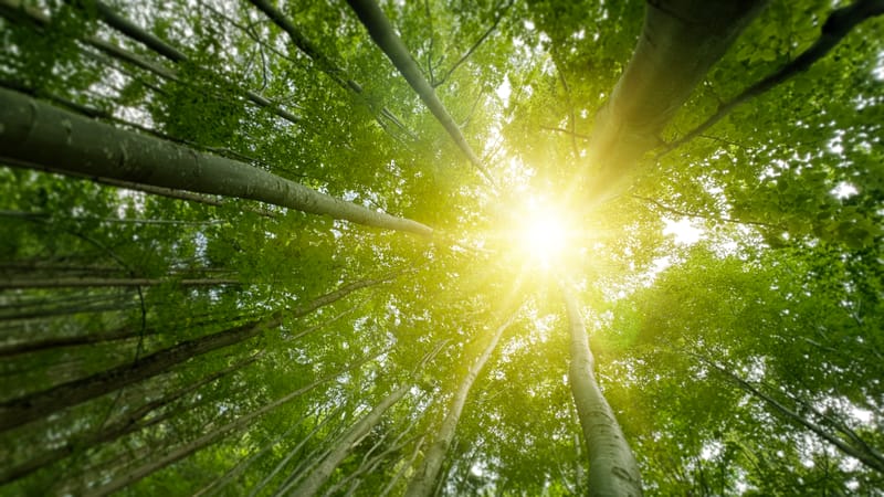 Partnerschaft mit ihren Hürden.