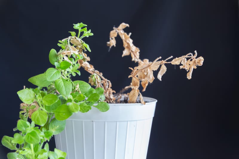 Fünf Anzeichen dafür, dass eine Beziehung nicht mehr glücklich macht.