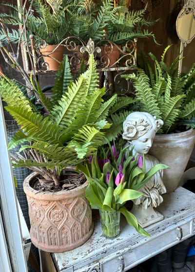 The Garden Room image