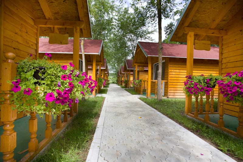 Terrains professionnels