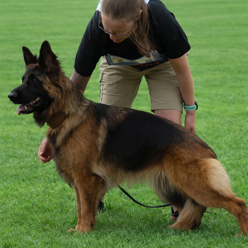 HAKIMA VON ETOSHANNE