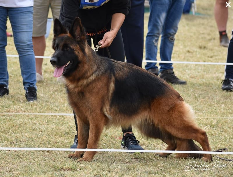 Hakima von Etoshanne