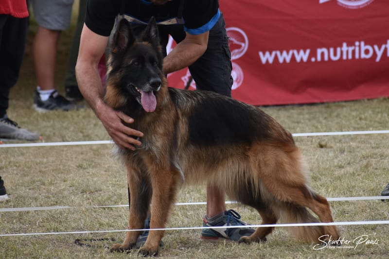 FALLON VON ETOSHANNE