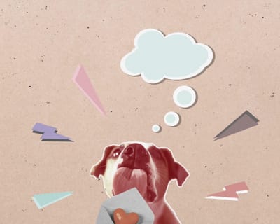 Do animals overthink.....? You Bet They Do!