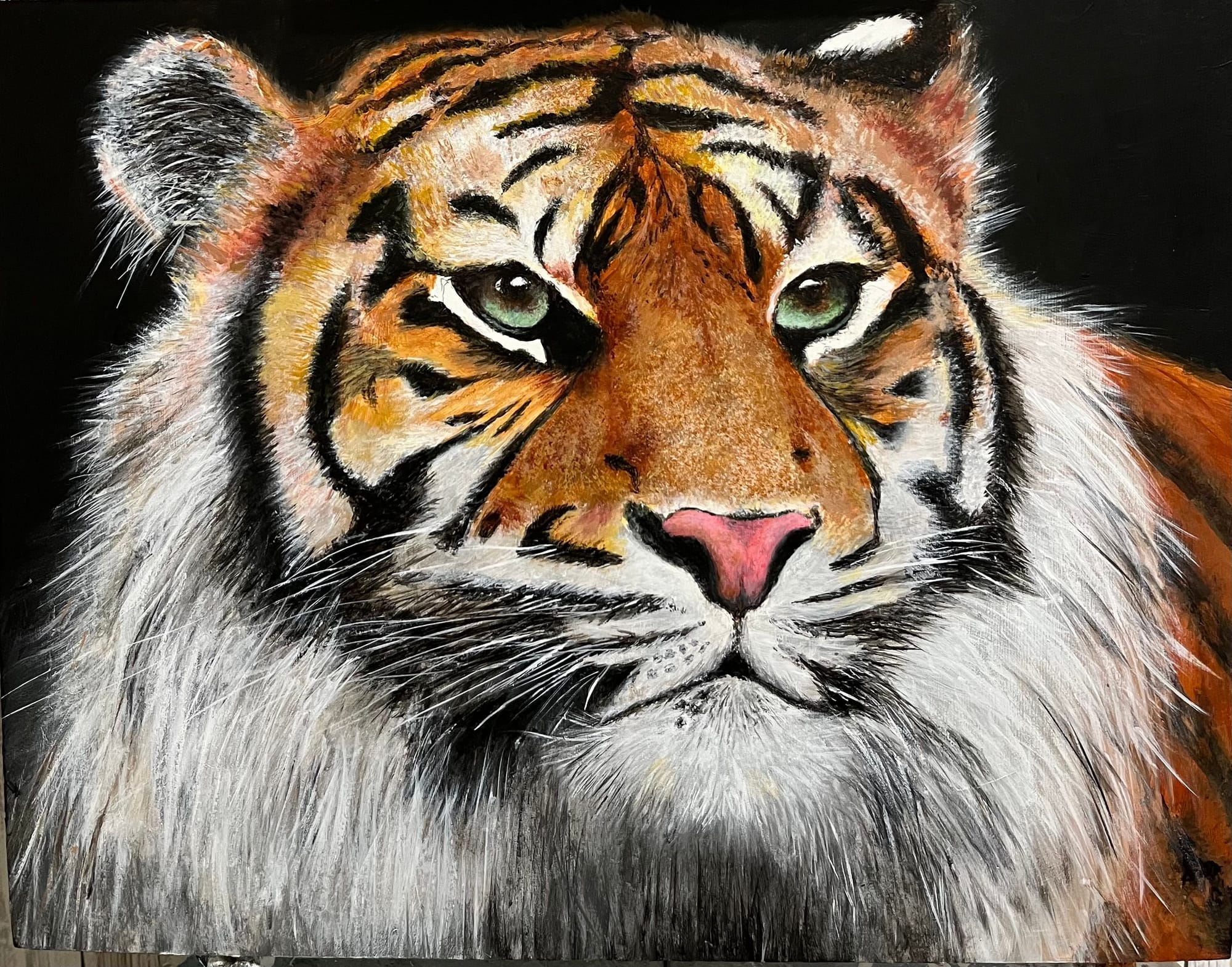 Siberian Tiger