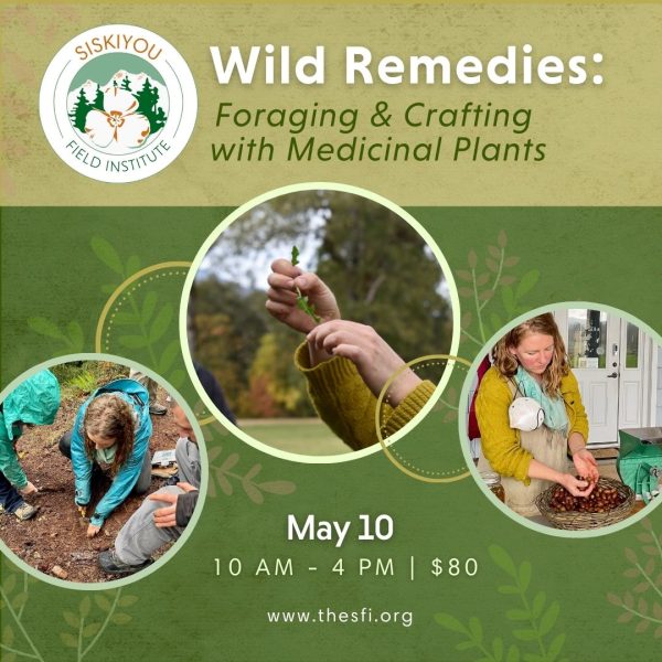 Wild Remedies: Foraging & Crafting with Medicinal Plants