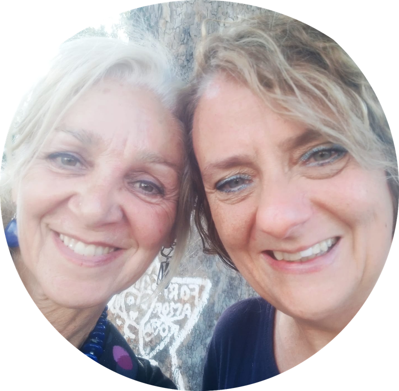 Return to the owner Sé con e attraverso i Delfini - Path back to Oneself with and through the Dolphins