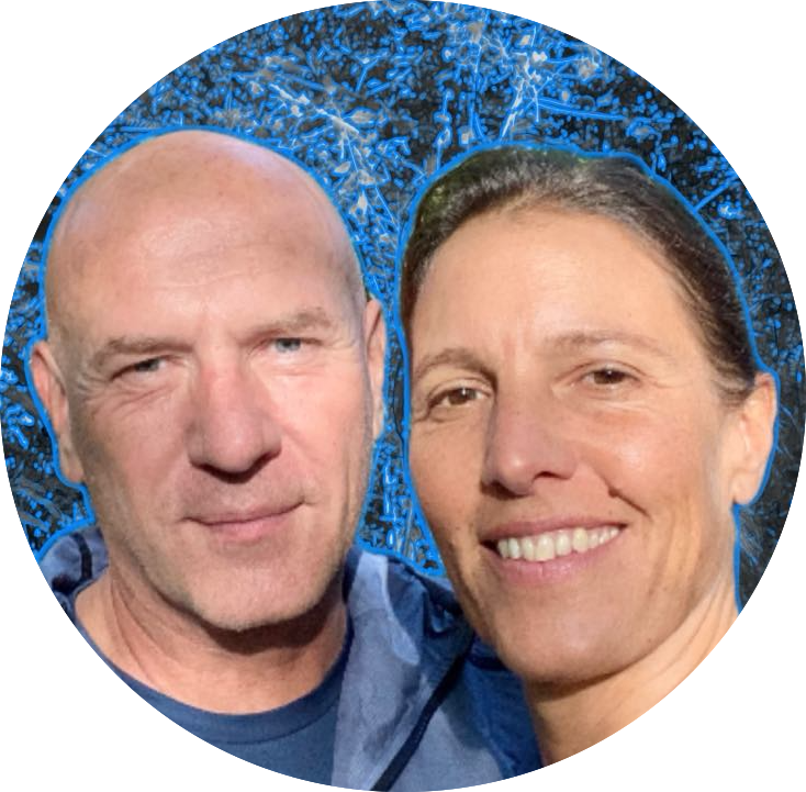 Growing in Humanity thanks to the Dolphins