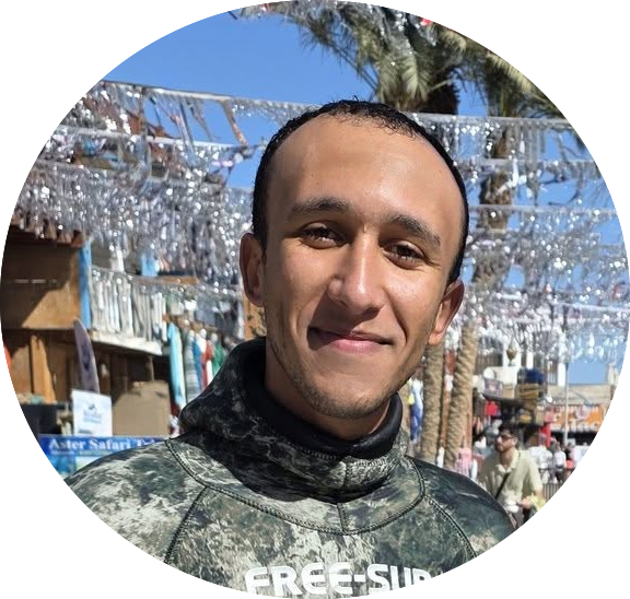 Dolphin immersion and Freediving