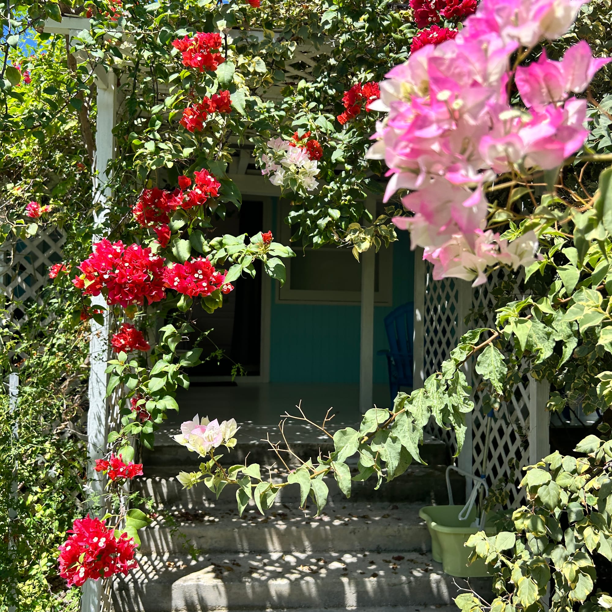 terrasse cote chambre Tiare