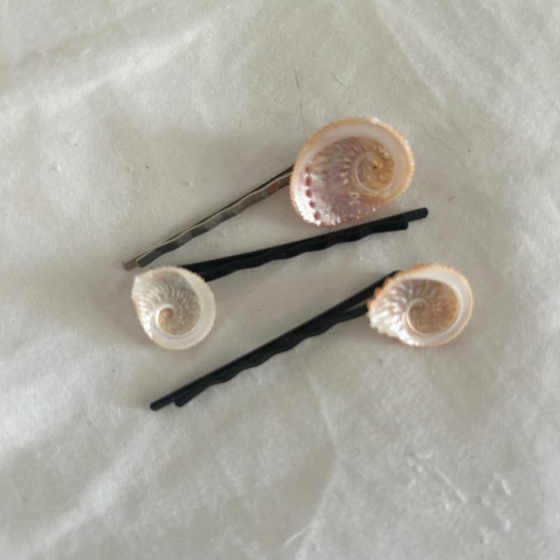 Barrette pour les cheveux